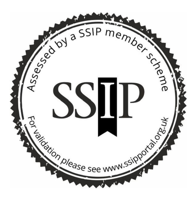 SSIP assessed