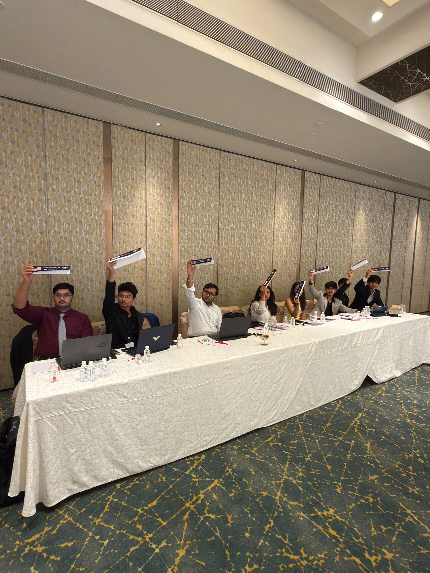 Avyra delegates raising their country placards in committee