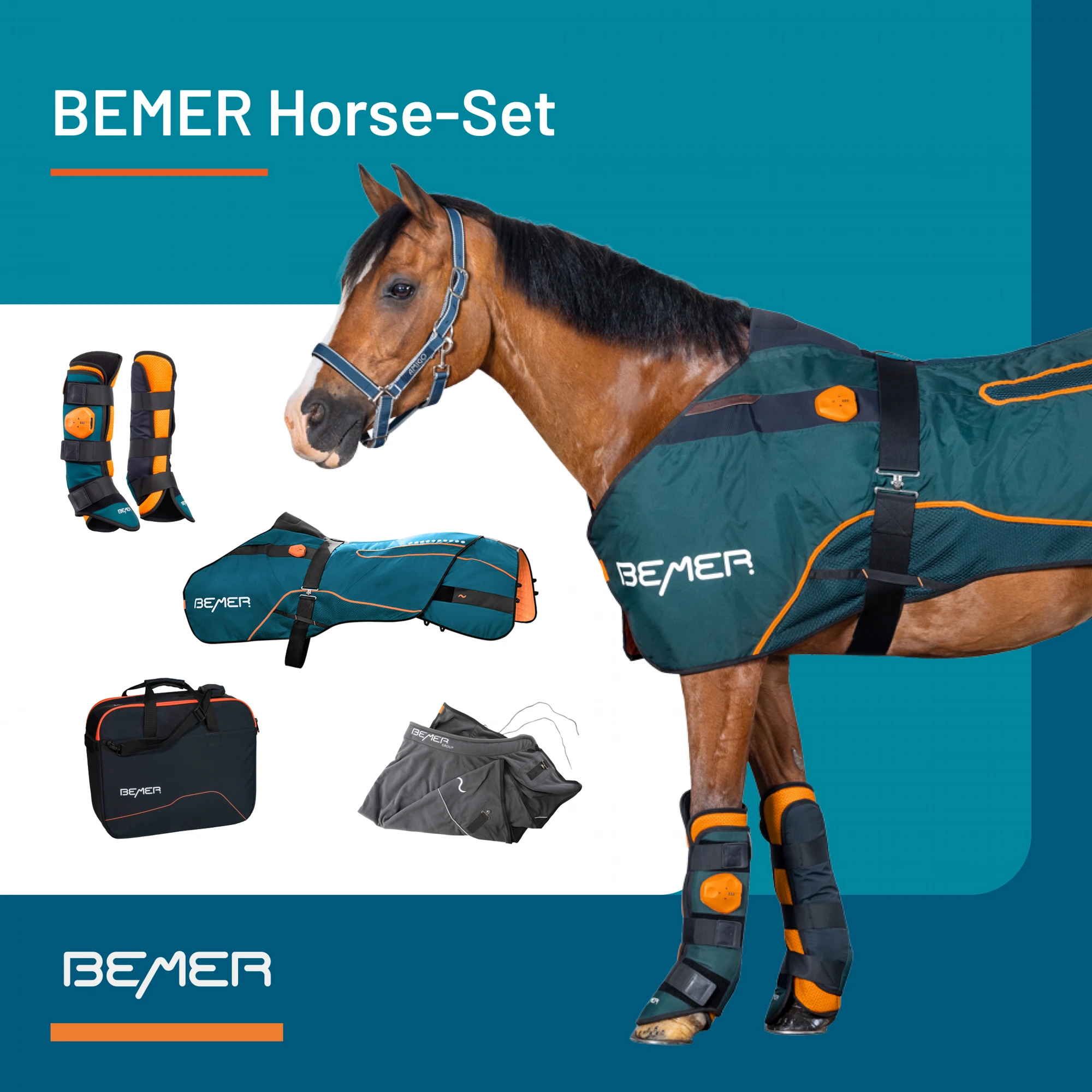 BEMER Horse-Set — official BEMER product image