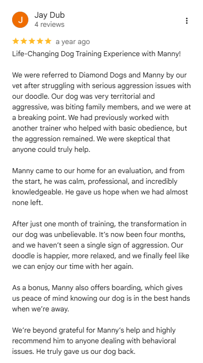 Diamond Dogs five-star customer review