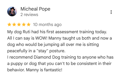 Diamond Dogs five-star customer review