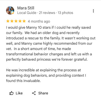 Diamond Dogs five-star customer review