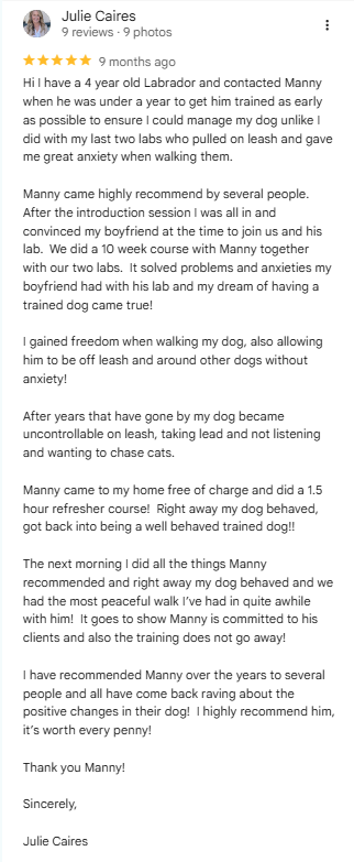 Diamond Dogs five-star customer review