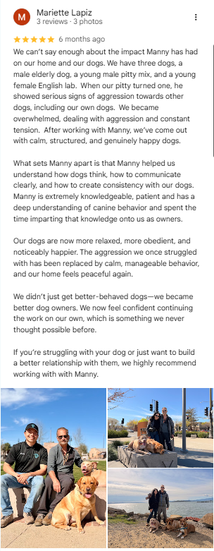 Diamond Dogs five-star customer review