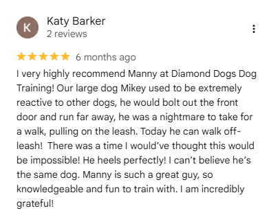 Diamond Dogs five-star customer review
