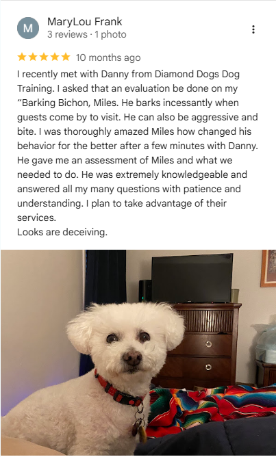 Diamond Dogs five-star customer review