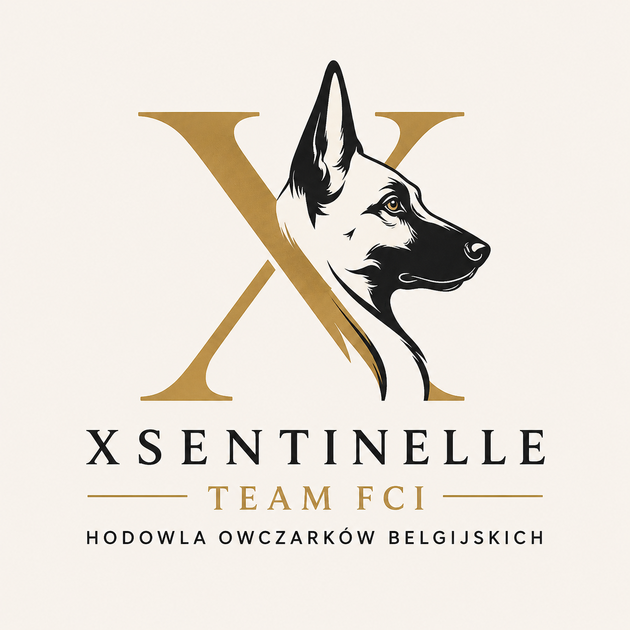 Xsentinelle Team FCI