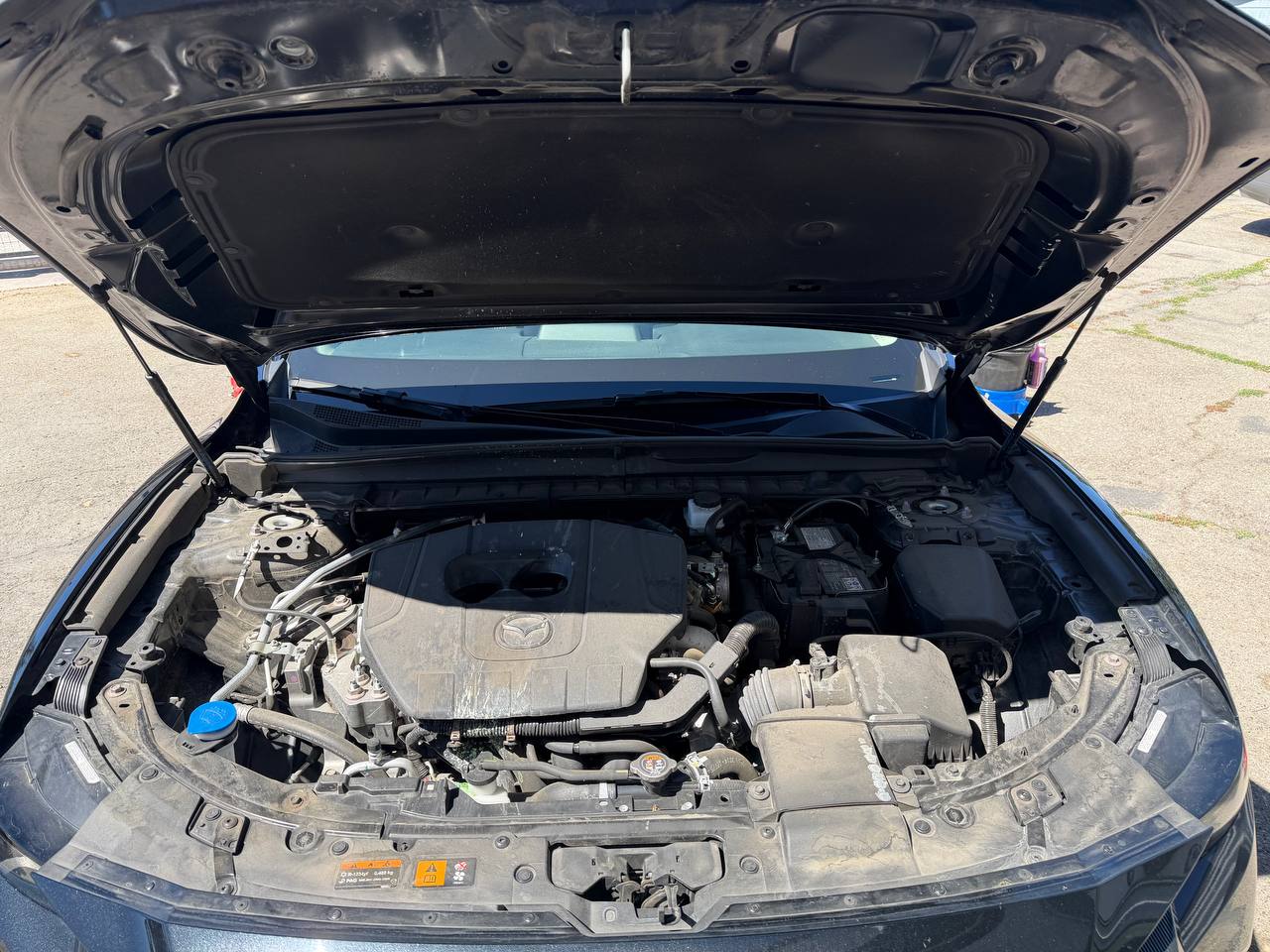 Engine Bay Detail — before