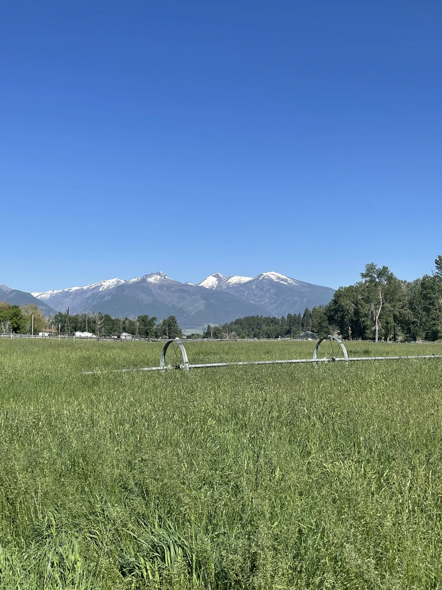 Wheel-line irrigation and snow-capped Bitterroot peaks over green pasture