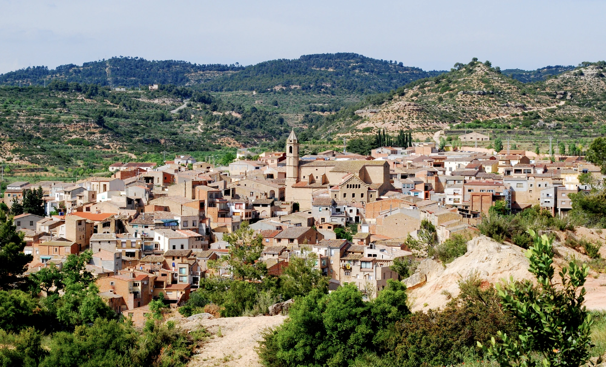Vista panoràmica de Cervià de les Garrigues
