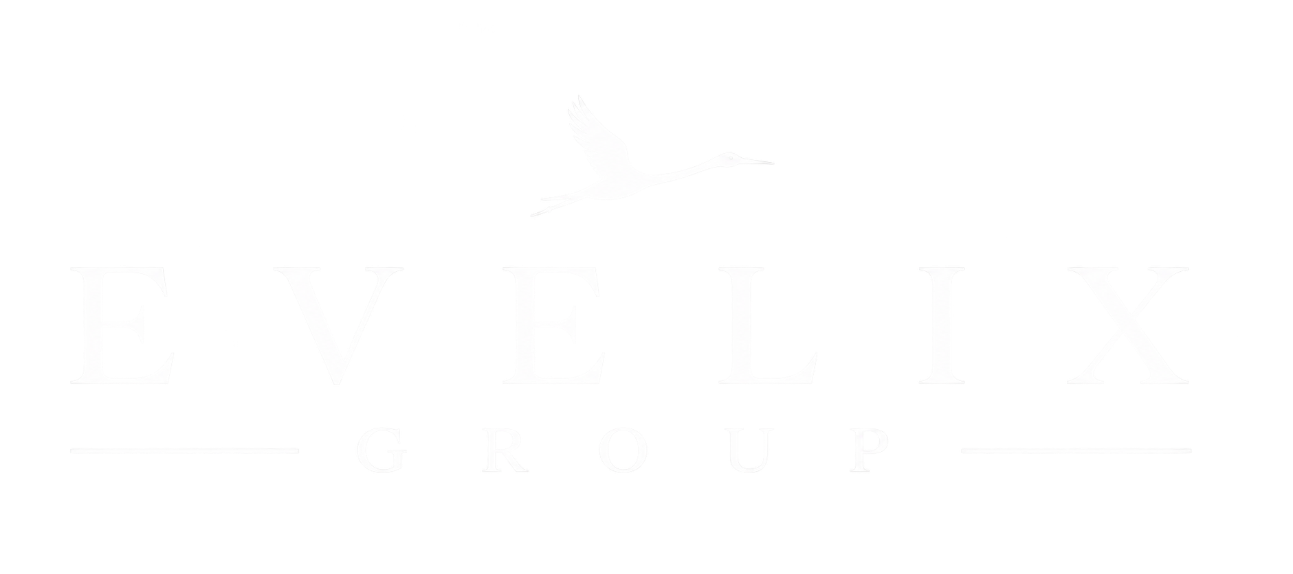 Evelix Group