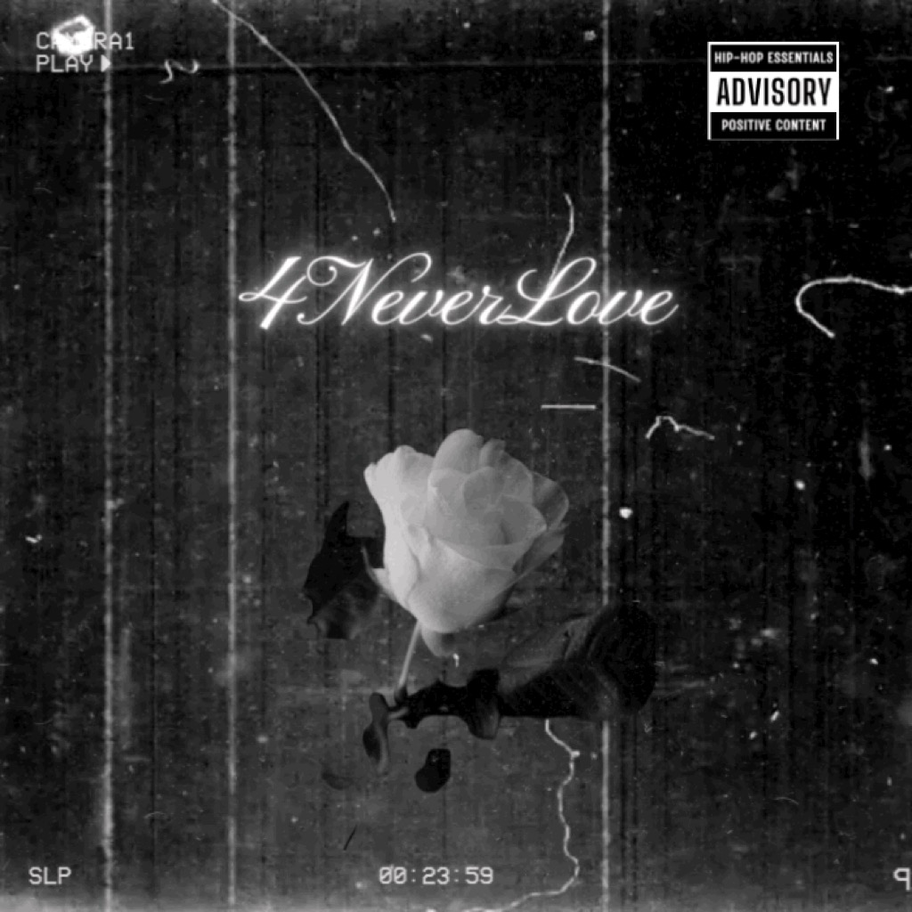 4NVRLØVE LP artwork