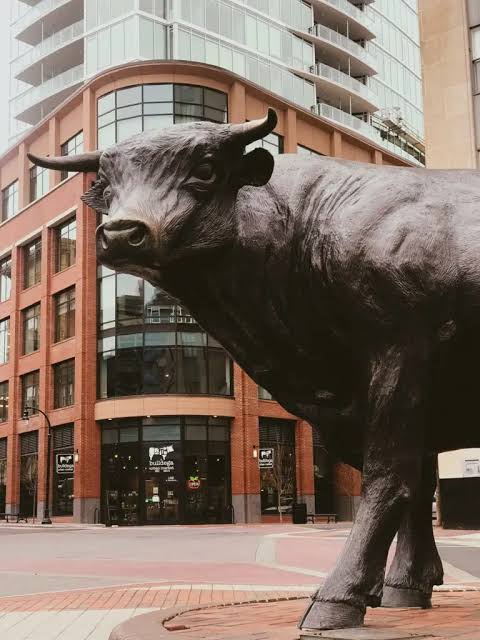 Major, the Durham bull statue