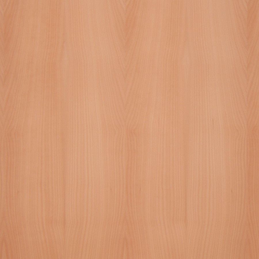 MADRONE
