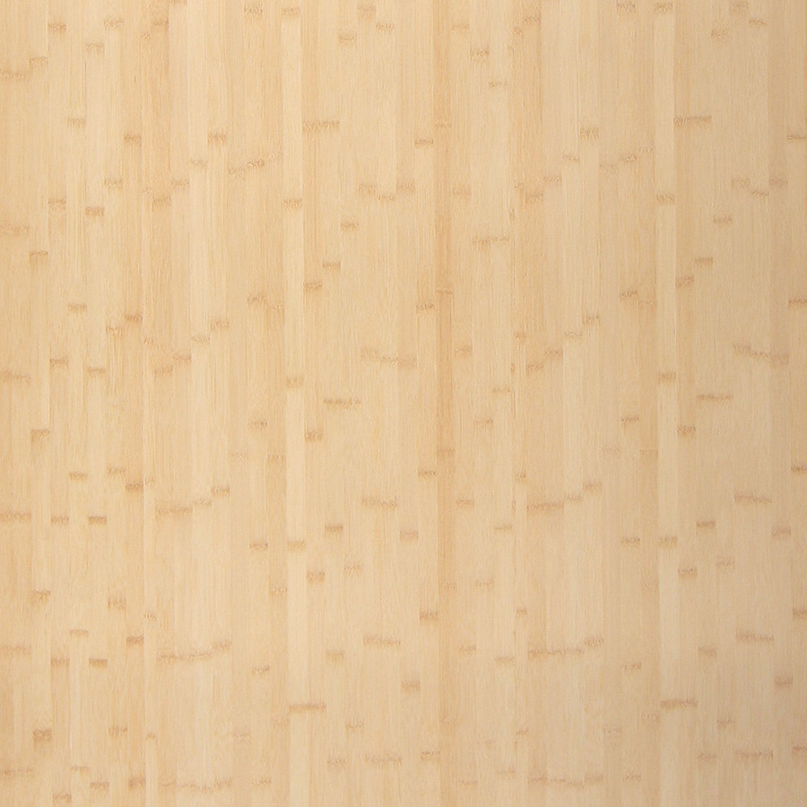 BAMBOO