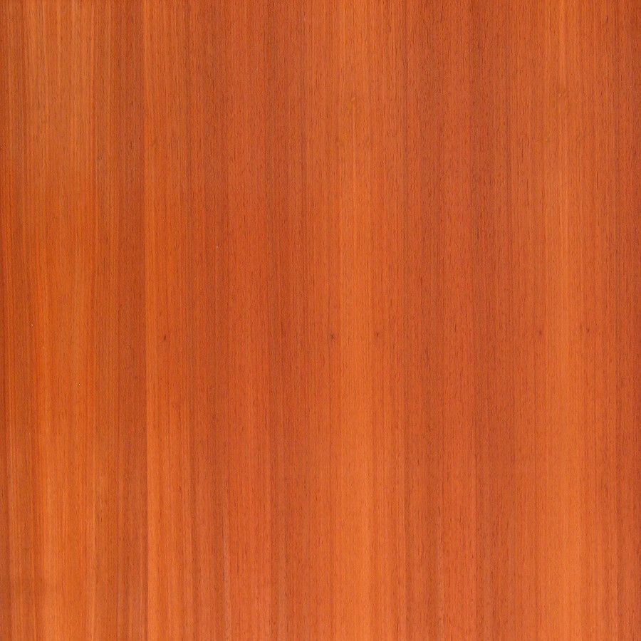 PADAUK