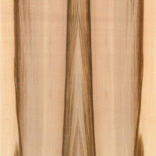 REDGUM 1