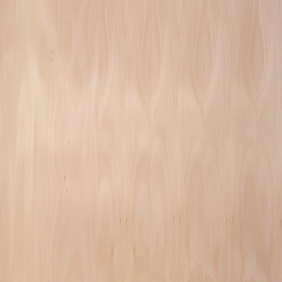 BASSWOOD