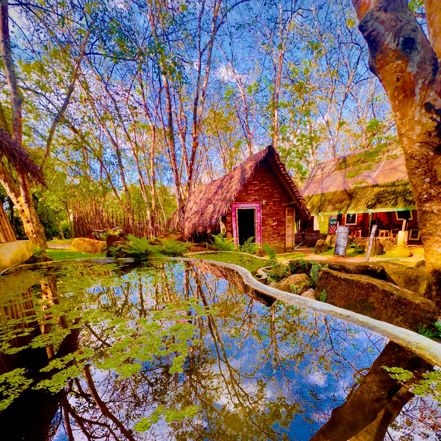 The natural pool — reflections of the estate